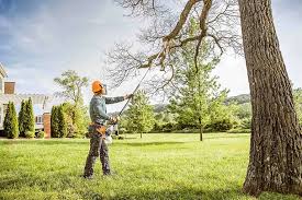 Best Hazardous Tree Removal  in Hampton Bays, NY